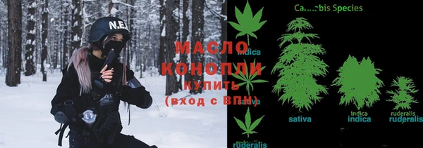 хмурый Абаза