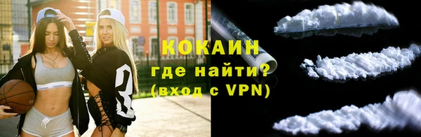 хмурый Абаза