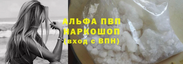 хмурый Абаза