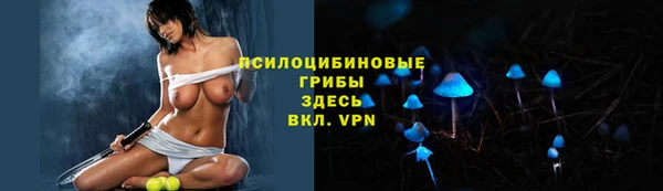 МДПВ Абдулино